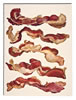 Bacon Composition 2